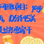 国外网赚项目：paypal拉新，10分钟5美刀，赶快通宵干【视频课程】